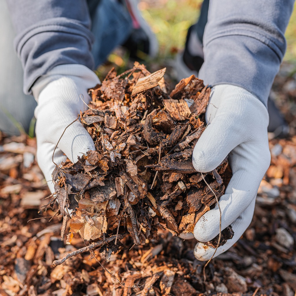 Composting Organic Waste For Soil Enrichment