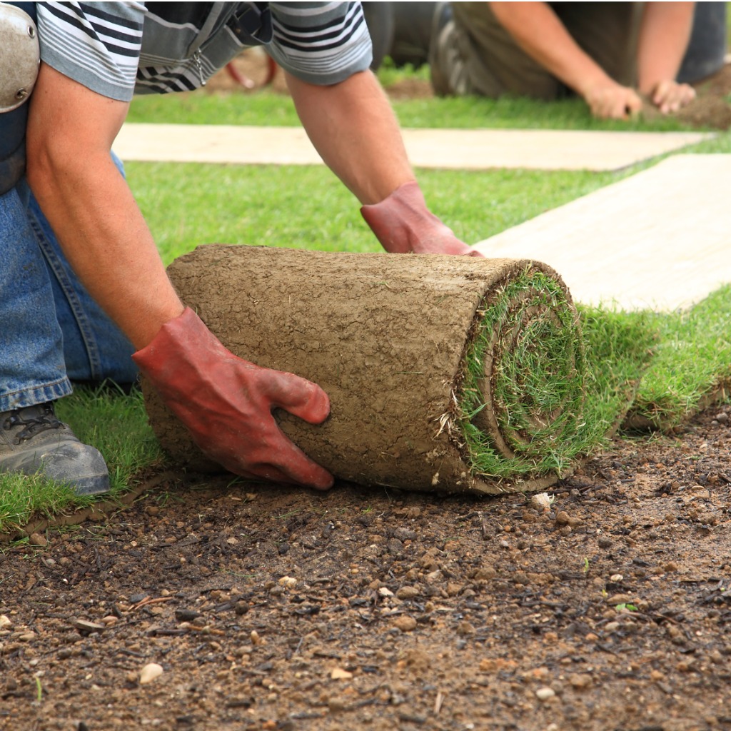 Laying sod for New Lawn