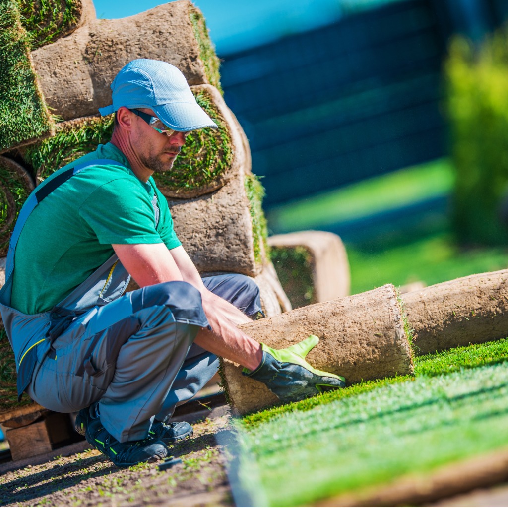 New Turf Grass Installation