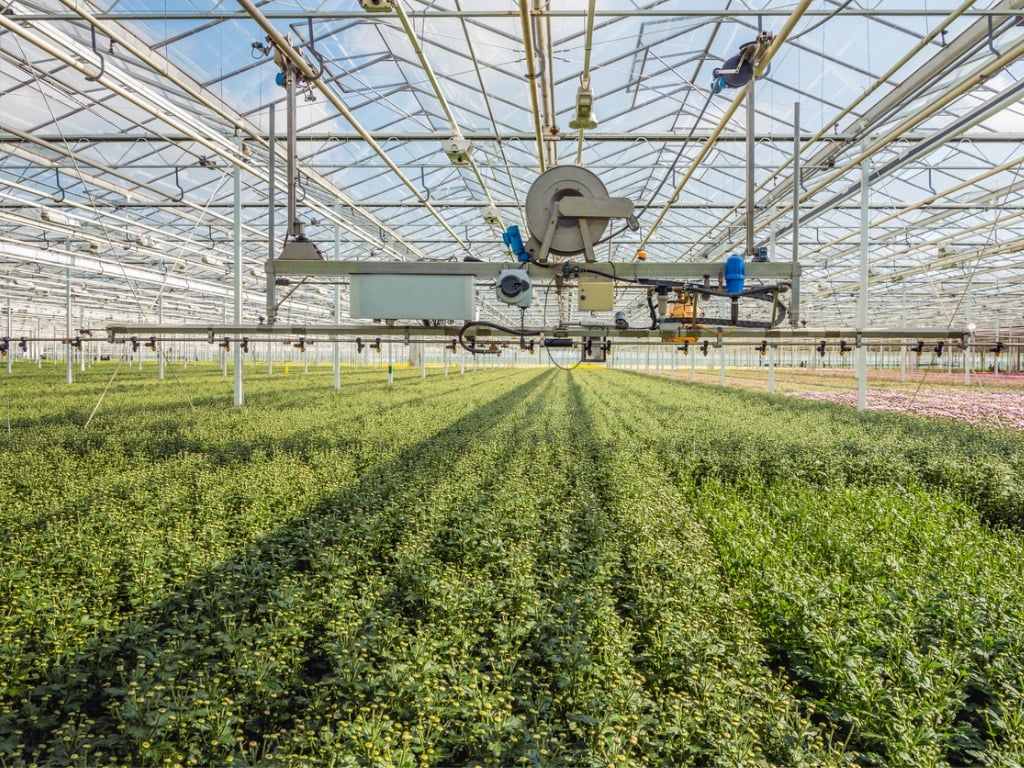 Semi-automatic Spraying Plants