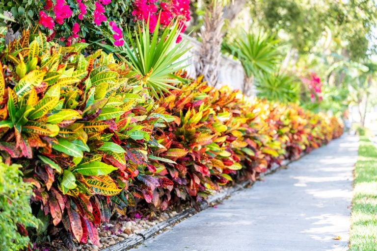 Erosion Control Fabric in Florida