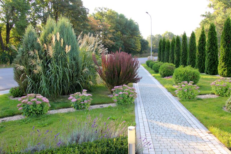 Landscape Fabric in Virginia