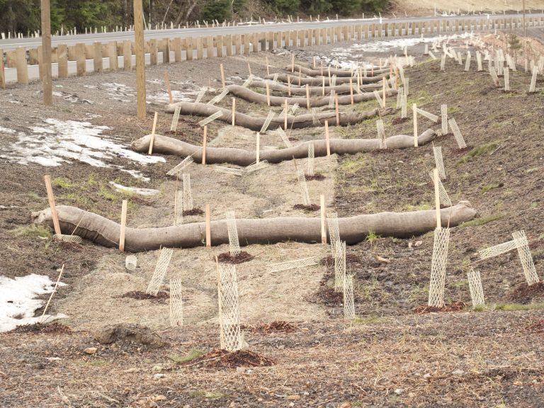 Erosion Control Fabric in Virginia