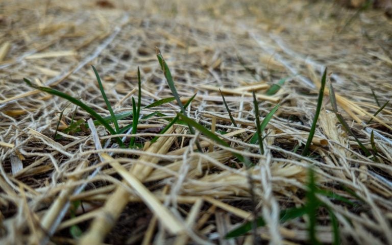 Erosion Control Fabric in Nebraska