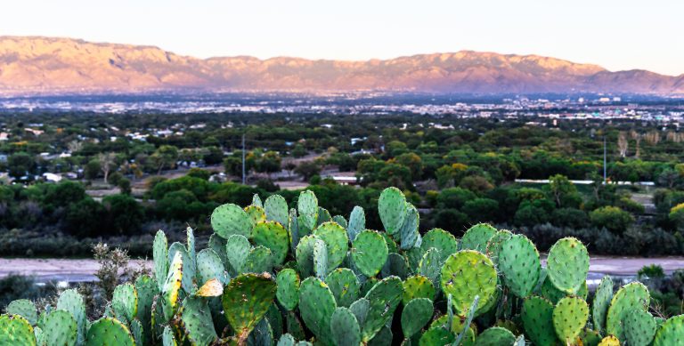 Landscaping Supplier in New Mexico