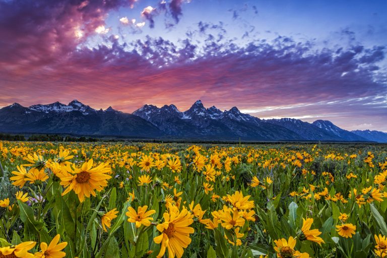 Landscaping Supplier in Wyoming