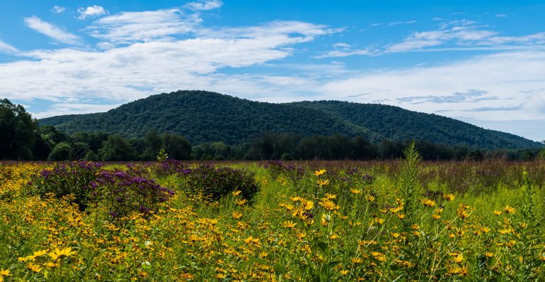 Landscaping Supplier in Pennsylvania