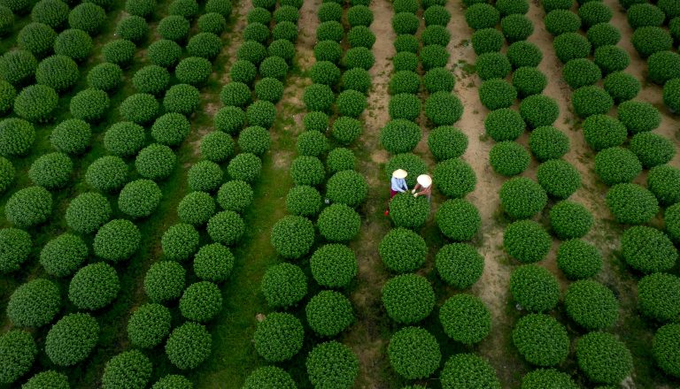 Puncture Resistant Weed Barrier