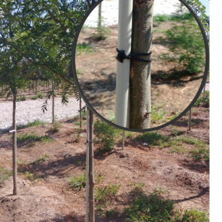 QUICKSTAKE BANDS