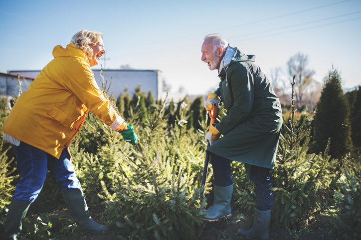 2026 Site Optimization: A Commercial Grower’s Q1 Checklist for Inventory, Stabilization and Spring-Ready Fabrics
