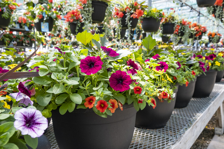 Wholesale Garden Center Supplies Bulk